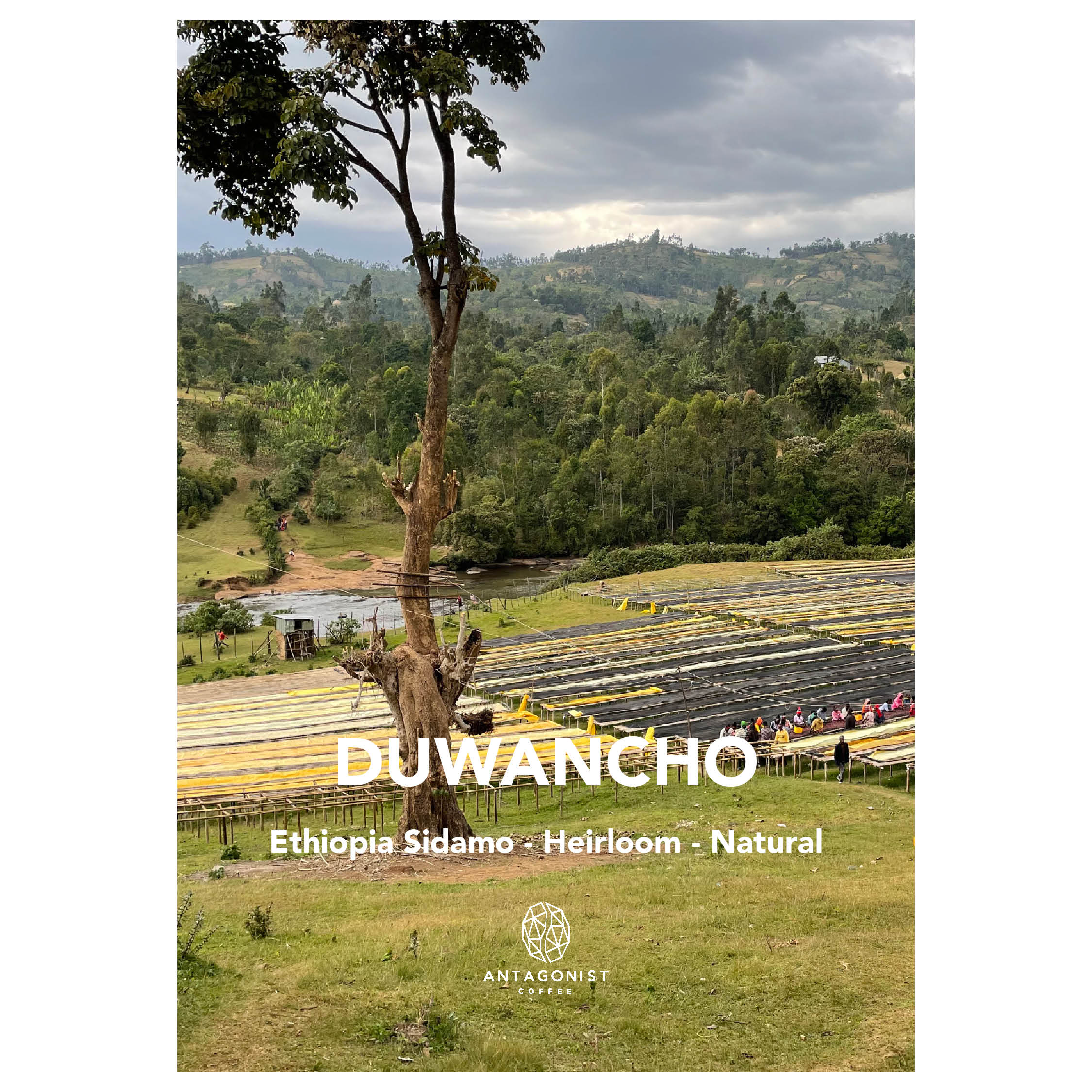 Filterkaffee Duwancho - Heirloom Natural