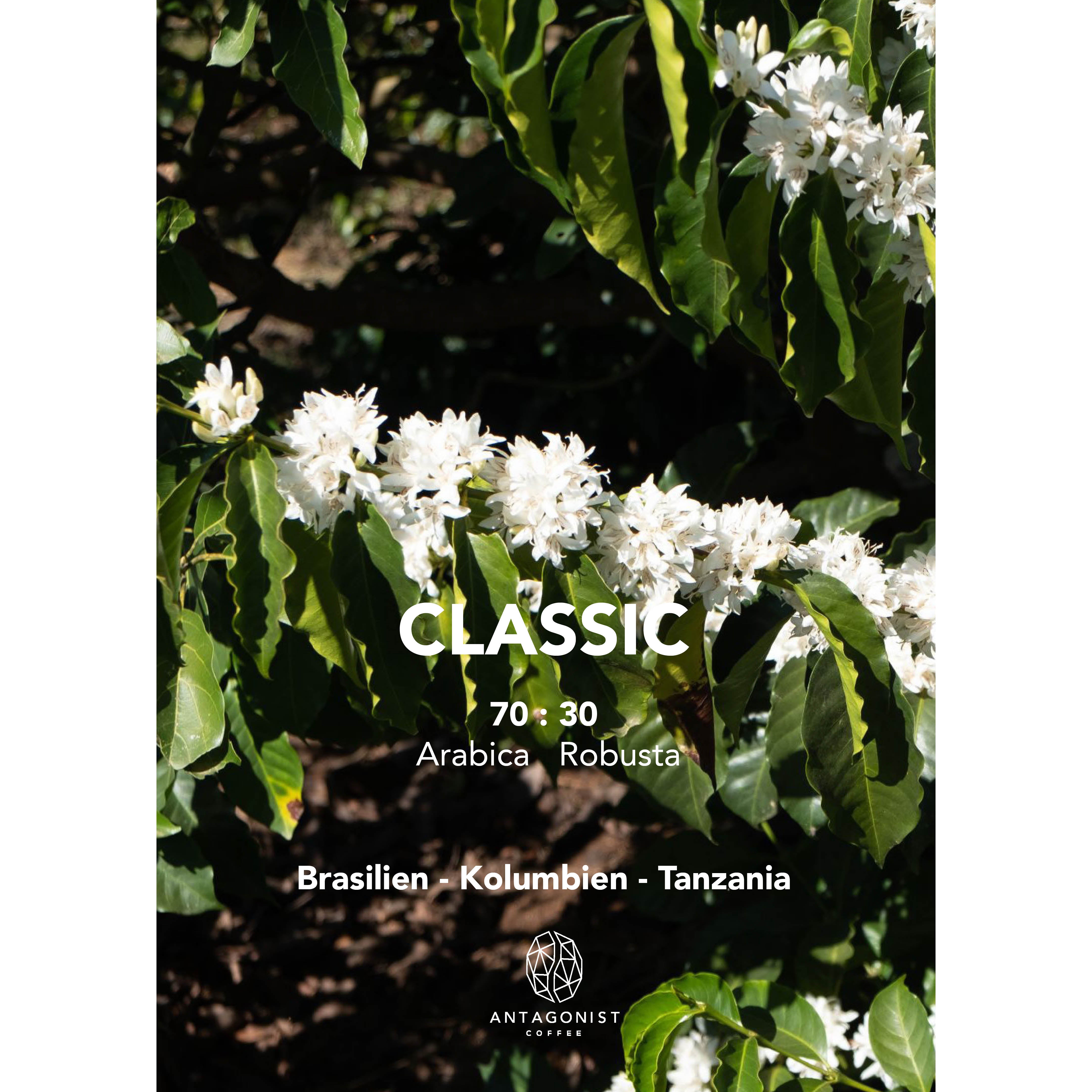 Espresso Blend Classic