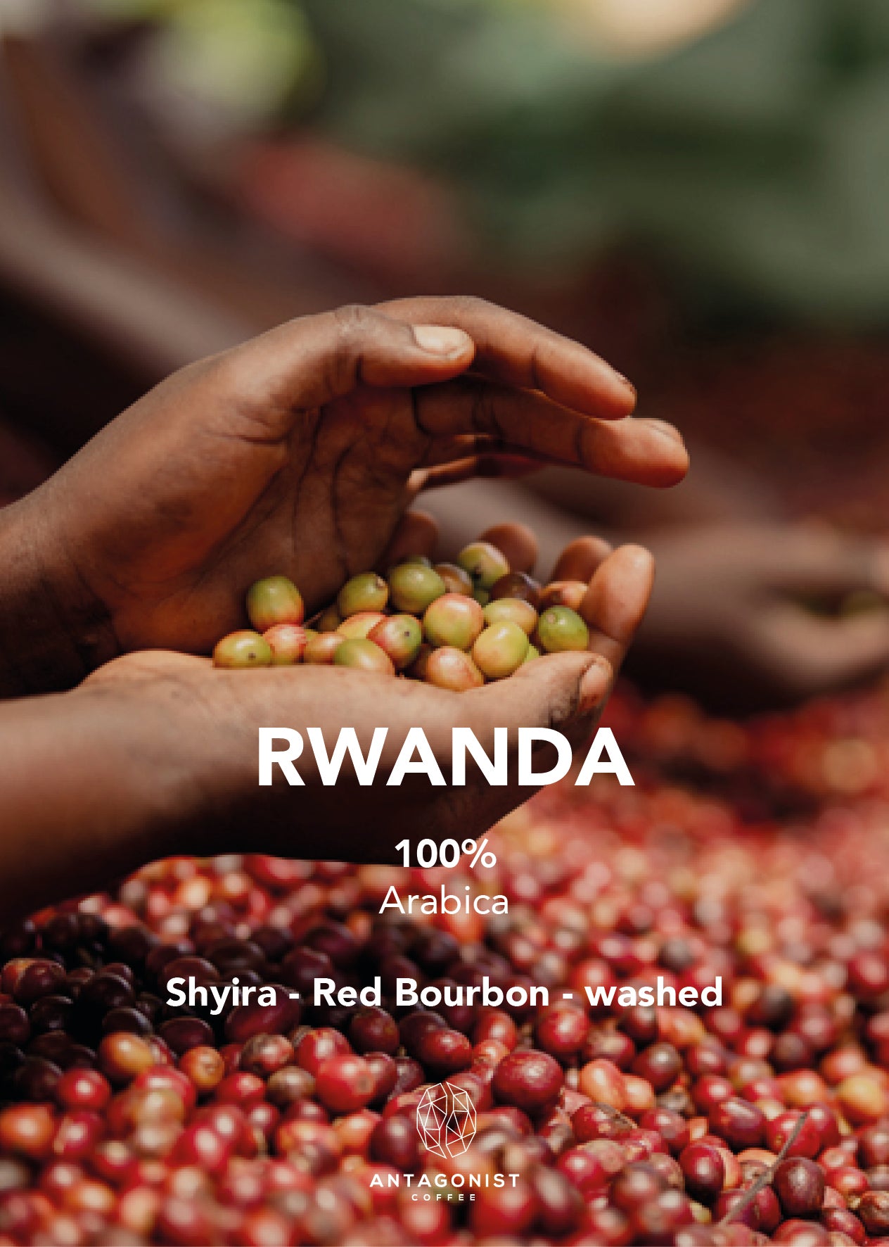 Filterkaffee Rwanda