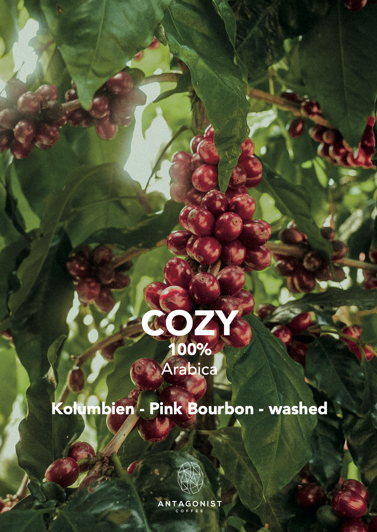 Filterkaffee Cozy